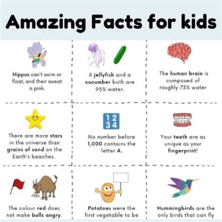 Important Facts You Should Know