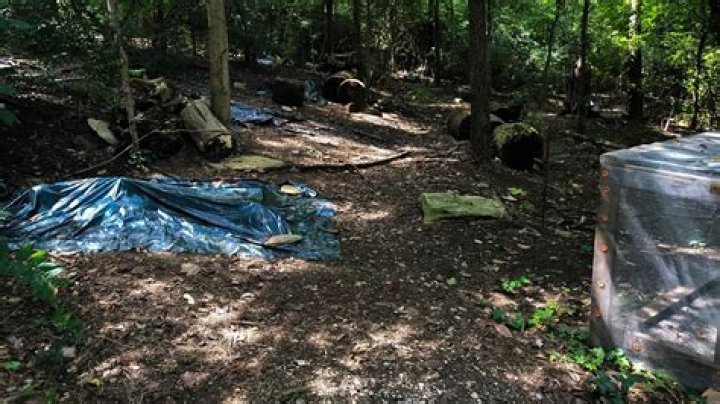 Inside The Body Farm: The dead do speak