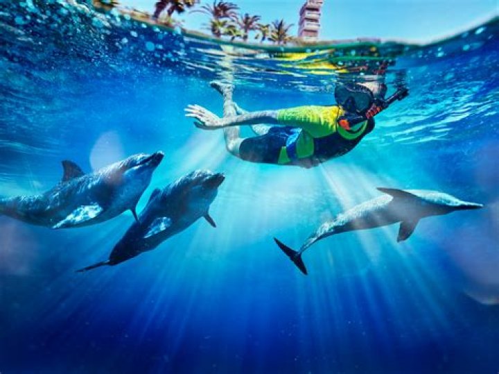 Is Dolphin Bay free for Atlantis guests?
