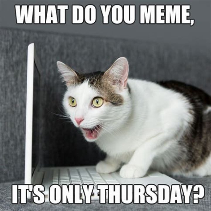 Is It Thursday Yet - Vulture