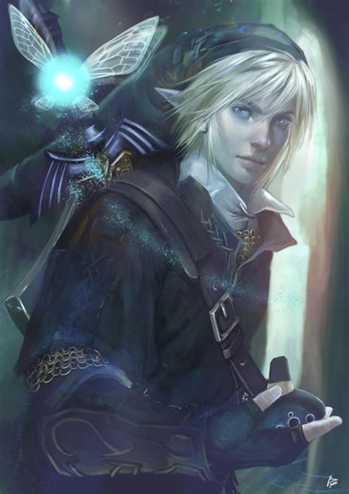 Is Navi in love with Link?