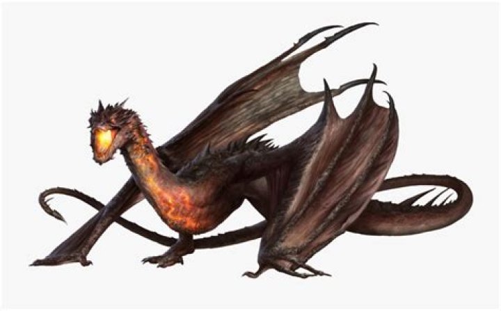Is smaug a wyvern?