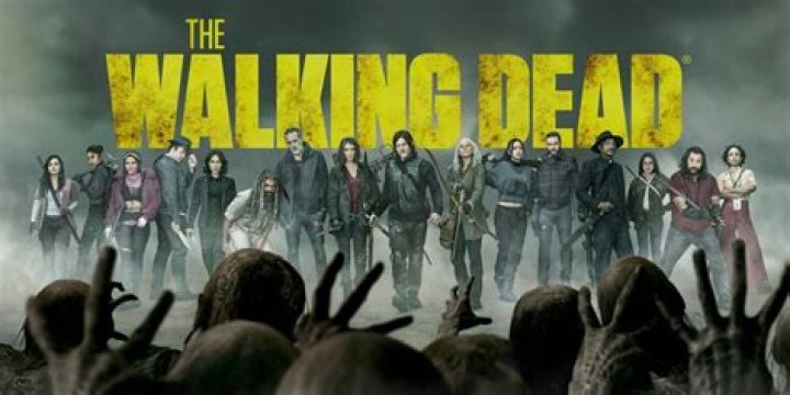 Is The Walking Dead on Netflix 2020?