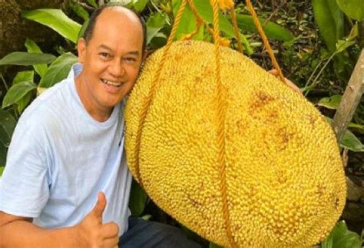 Is this the world’s biggest jackfruit?