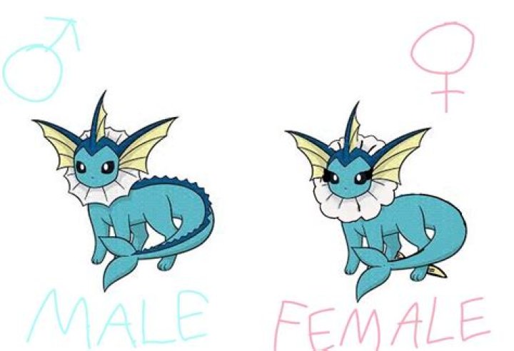 Is Vaporeon a boy or girl?