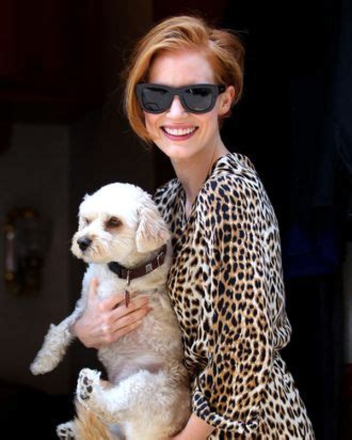 Jessica Chastain’s Dog Makes His Broadway Debut