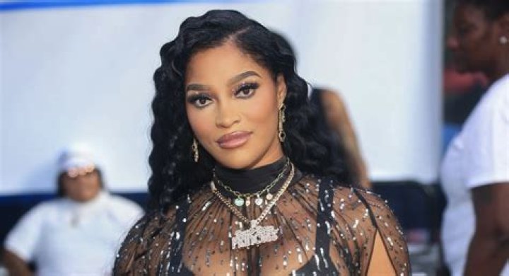 Joseline Hernandez Net Worth: How Much Money Does Joseline Hernandez Earn?