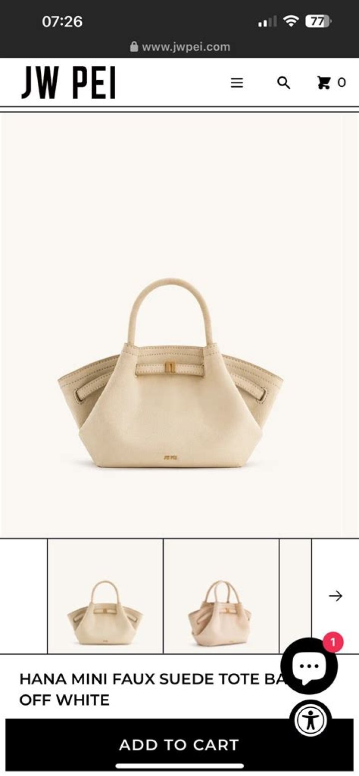 JW Pei Launched a $70 Bag on Amazon That Was Seen During NYFW
