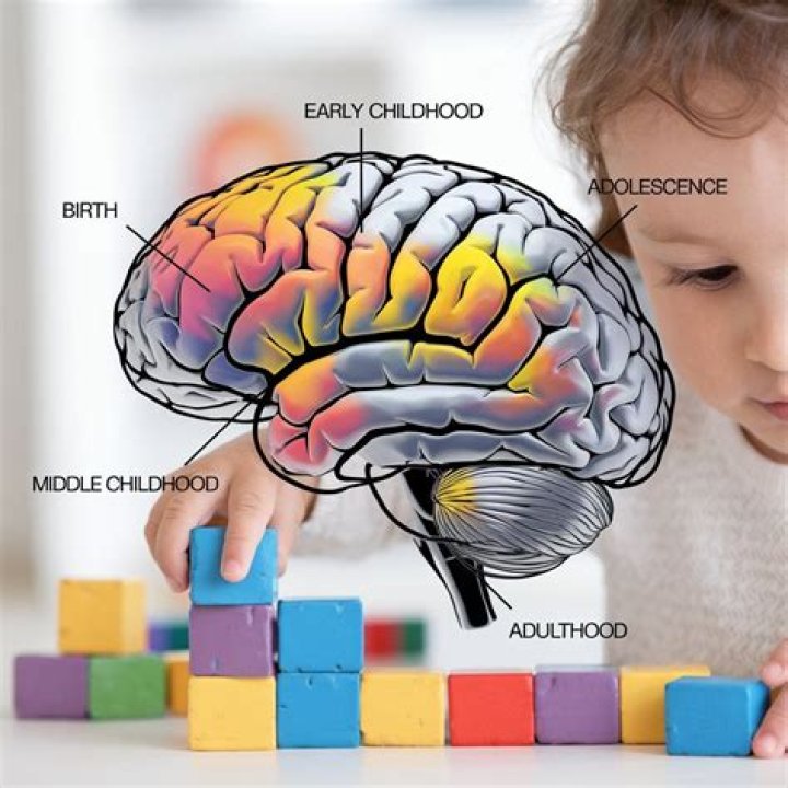 Kid Brain
