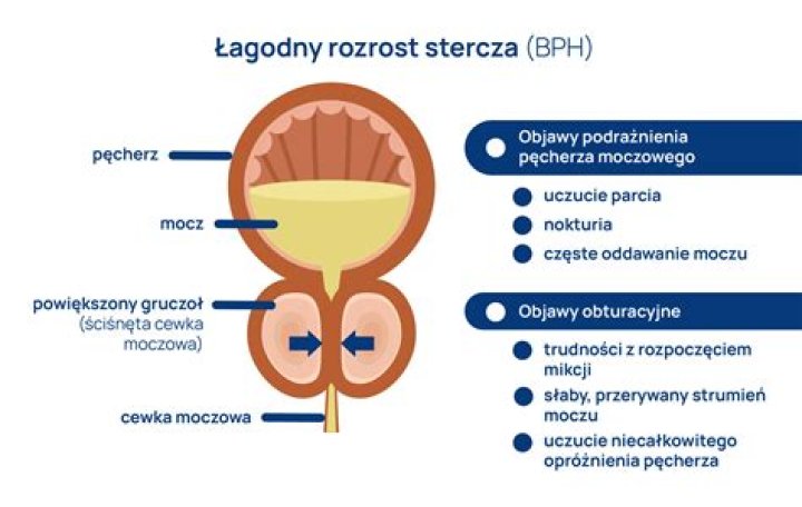 łagodny sposób na ruch i poprawę zdrowia