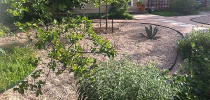 Landscape Management | Mississippi State University Extension Service