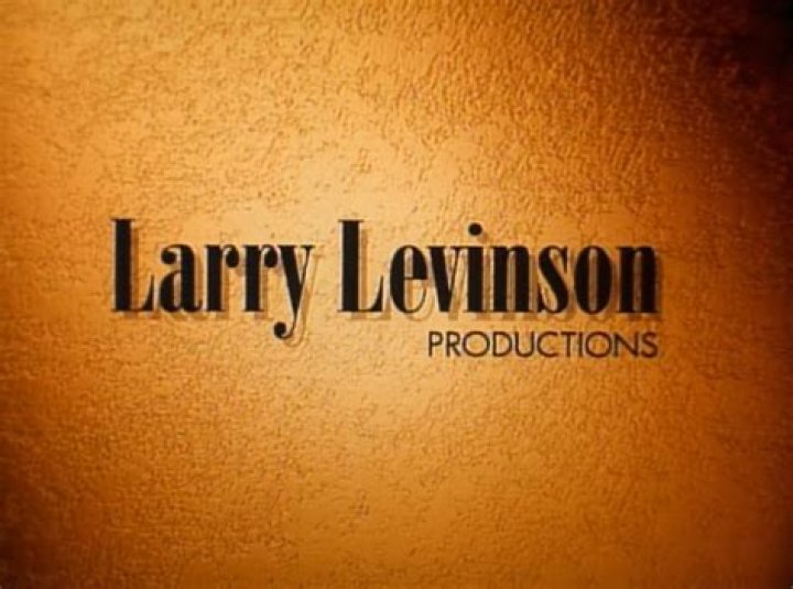 Larry Levinson Net Worth  - Pulptastic