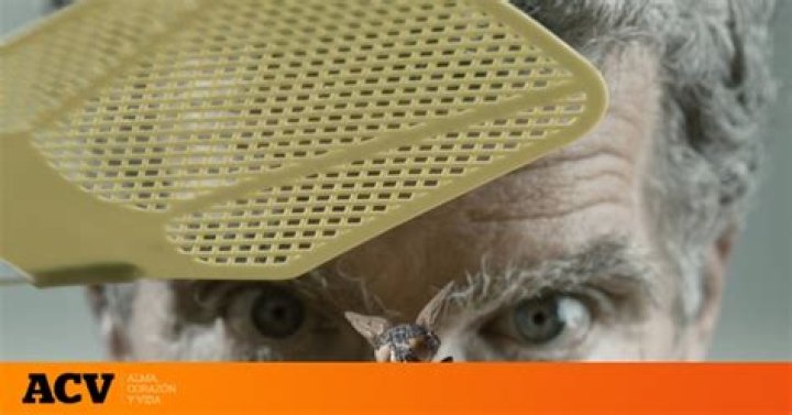 ¿Las moscas pueden picarnos? Esto es lo que dice la ciencia