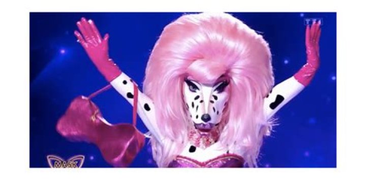 Le Dalmatien dans Mask Singer est démasqué : qui est-il ?