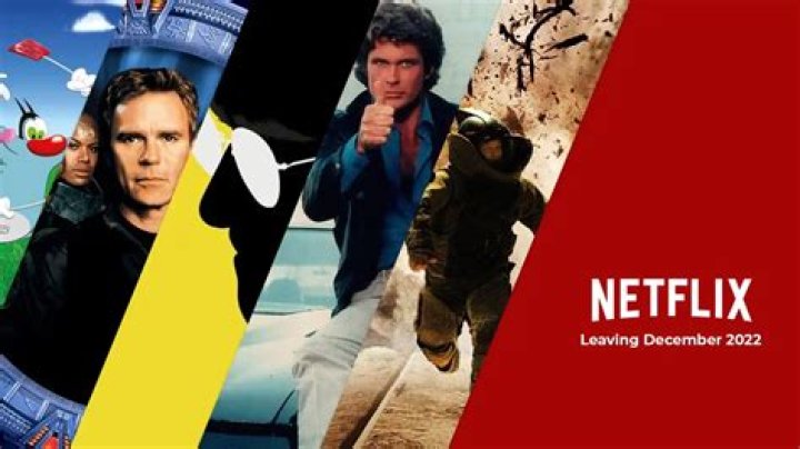 Leaving Netflix - Vulture