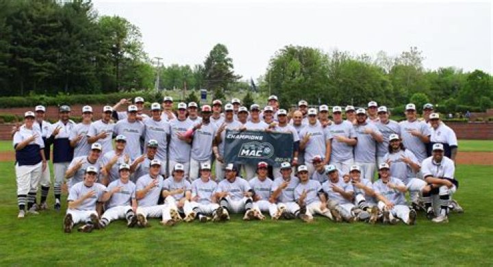 Lebanon Valley College Baseball Program Information