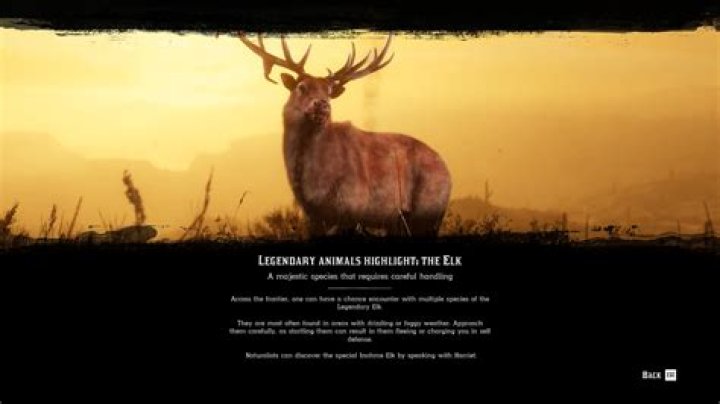 Legendary Elk RDR2 Online - Ozula, Inahme Elk Locations