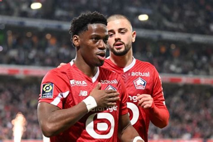 Lille Osc: 10 Football Club Facts