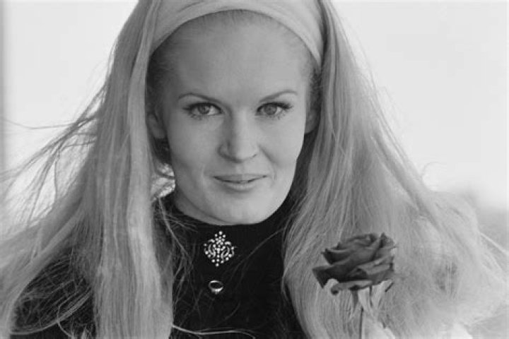 Lynn Anderson Net Worth  - Pulptastic