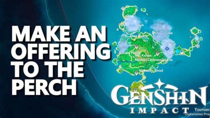 Make an Offering to the Perch Genshin Impact