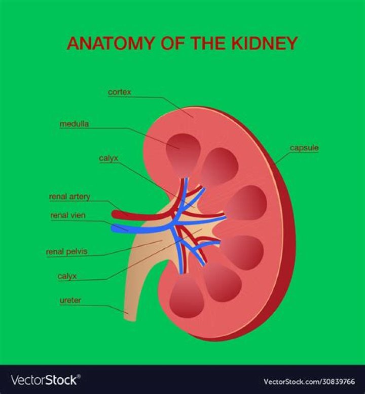 Man Gets Tested To See If His Kidney Is A Match For His Wife & Discovers They Are Siblings