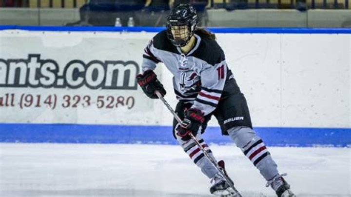 Manhattanville College Women's Ice Hockey Program Information