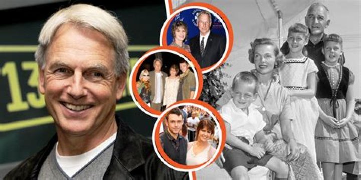 Mark Harmon: Date Of Birth And Biography