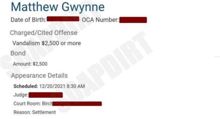 Matthew Gwynne Arrested, Married At First Sight Jailed After Breaking Into Ex Home