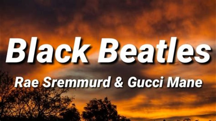 Meaning of “Black Beatles” by Rae Sremmurd (ft. Gucci Mane)