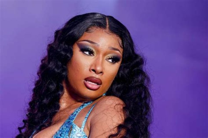 Megan Thee Stallion's Sexy Multi-Colored Catsuit Had Too Many Cutouts to Count