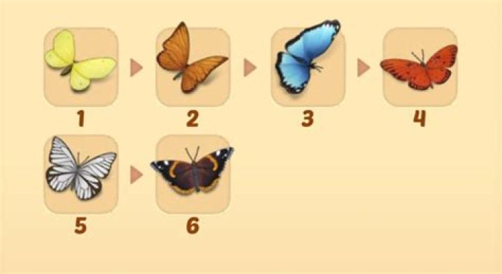 Merge Mansion Butterfly Event, Get Butterflies & Moths