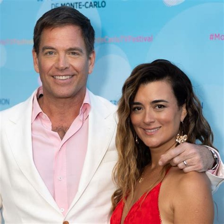 Michael Weatherly