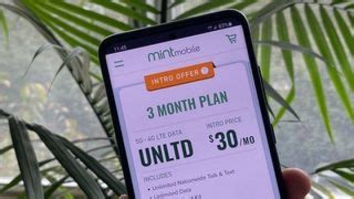 Mint Mobile vs. US Mobile: Which MVNO should you get?