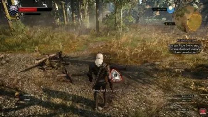 Missing In Action | Witcher 3