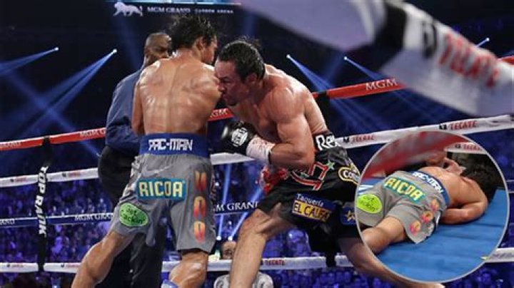 Mosley: I'm going to knock out Pacquiao