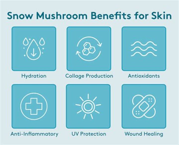 Mushroom Benefits for Skincare