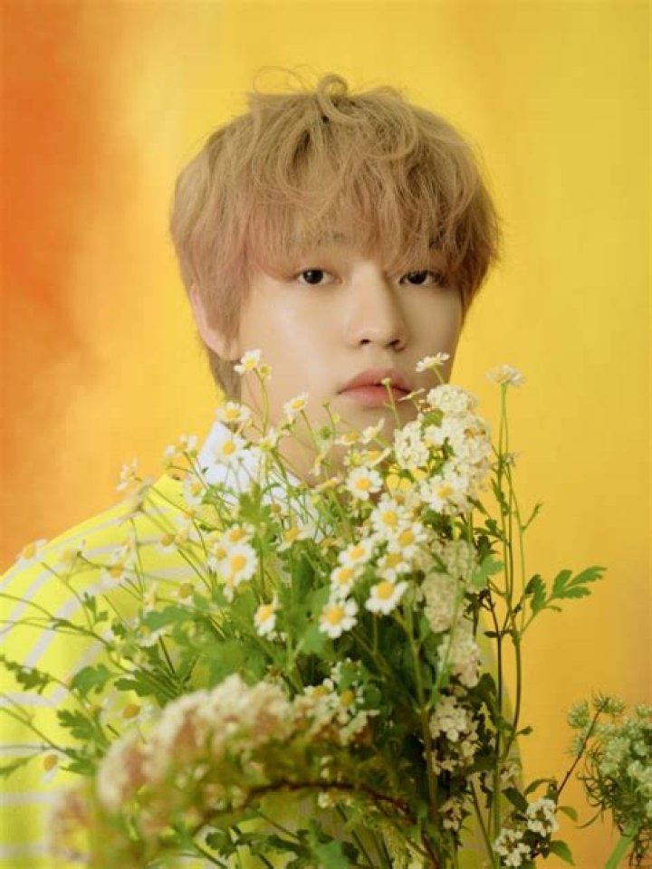 NCT Chenle Net Worth 2022: How Rich is the 'Hot Sauce' Singer?