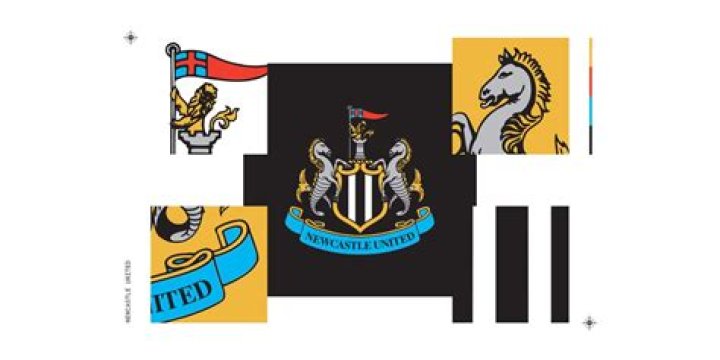 Newcastle United’s badge: Seahorses, William the Conqueror’s son and a brave defence