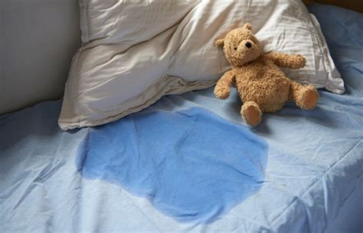 Pantsless Potty Training Works, But My Rug Has Had Better Days