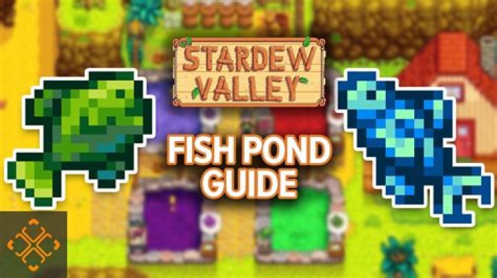 Pond Stardew Valley: A Complete Guide To Aquatic Life And Agriculture
