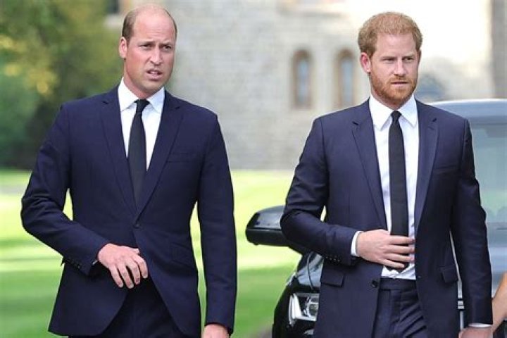 Prince Harry Is a Stand-Up Comic Now