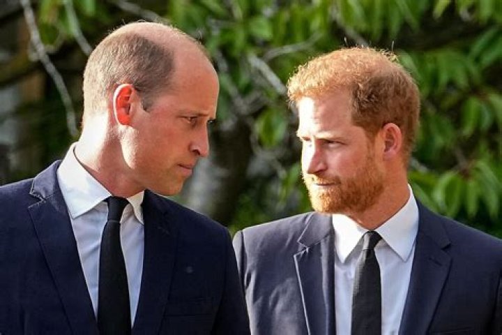 Prince Harry Won't Be Seeing His Brother William During His Trip Home