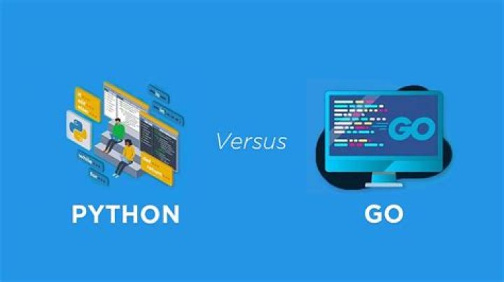 Python vs Go: What’s The Difference?
