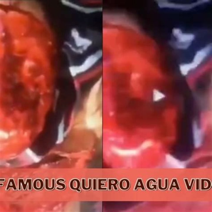 Quiero Agua: A Deep Dive Into The Viral Video Sensation