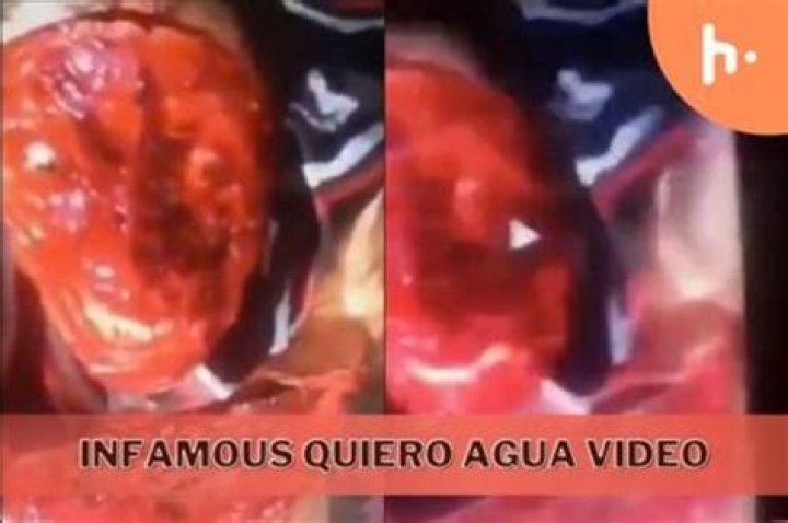 Quiero Agua Terror Video: Understanding The Phenomenon