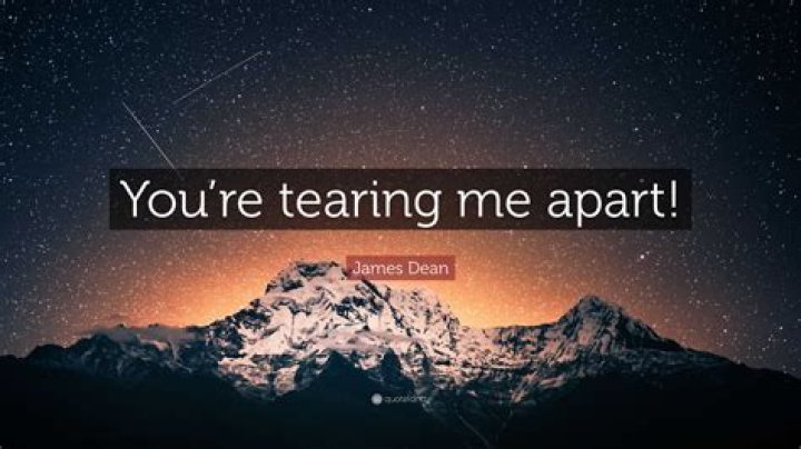 Quotes - You're tearing me apart!