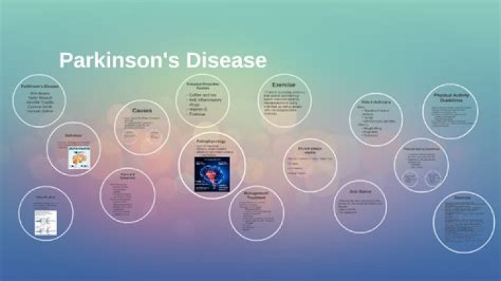 Ralph Macchio And Parkinson's Disease: Understanding The Connection