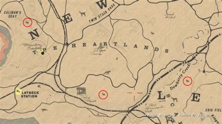 Red Dead Redemption 2 Perfect Quality Rabbit Belts