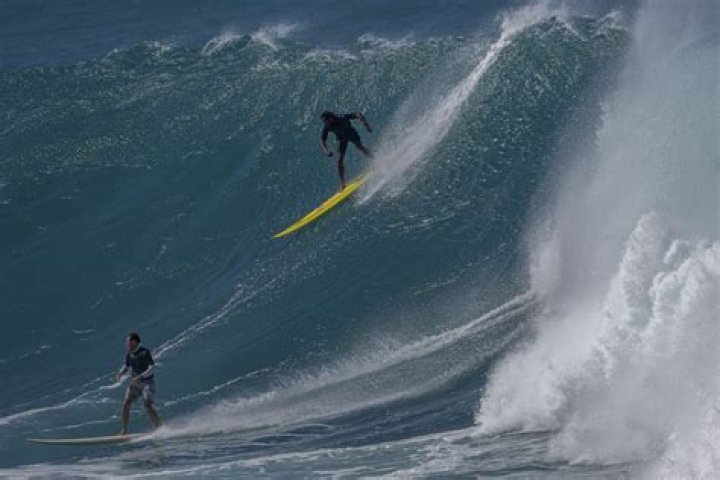 Revisiting the Surfline Hotel: What Happened After Hotel Impossible?