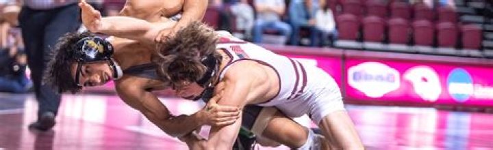 Roanoke College Wrestling Program Information